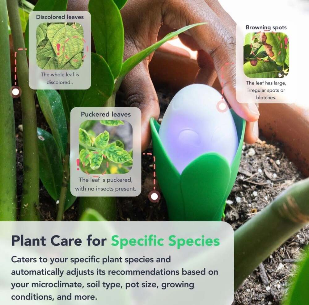 Flora Pod Smart Plant Sensor - Moisture, Light, Humidity & Temp Monitor - Picture 11 of 15